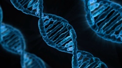 Acceptance House Sober Living Understanding Genetic & DNA of Alcoholism